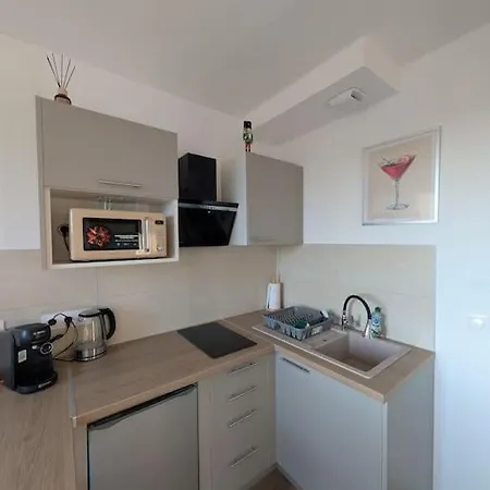 Ecrin De Lumiere A 10 Min De L'hypercentre ストラスブール